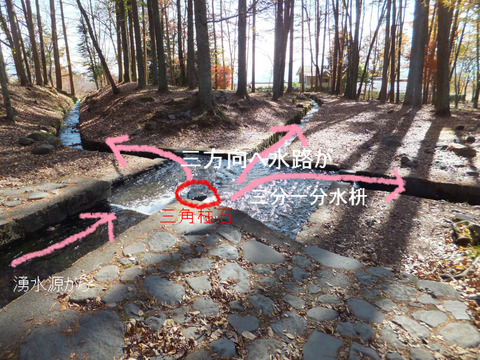 ��ʬ��ʬ����