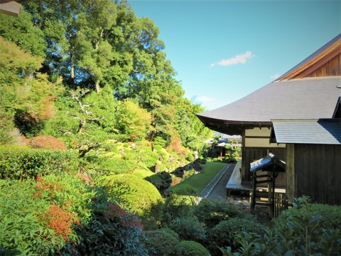 ζ߬�����ٱ󽣺�����