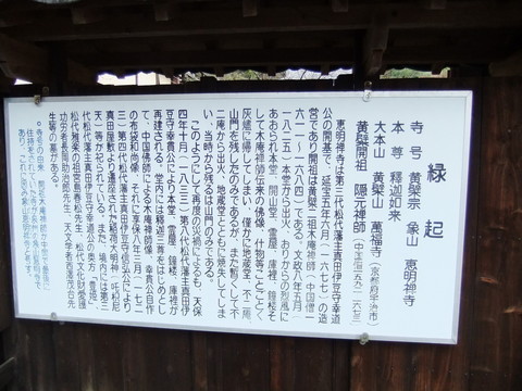 ���������ﵯ