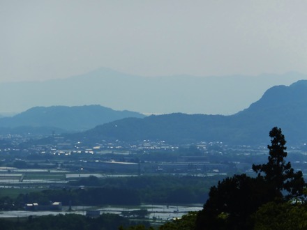 �������󤯤鷺�������ʸС���û�