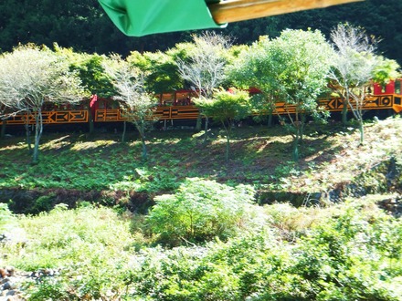 11��45���ȥ��å���֤ˤߤ�ʤǤ��������ޤ���