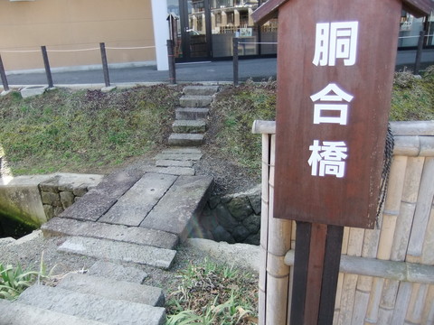 ������ƹ�綶