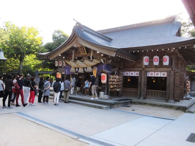 Ȭ�ų���������