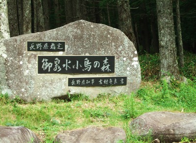 �����微Ļ�ο�������