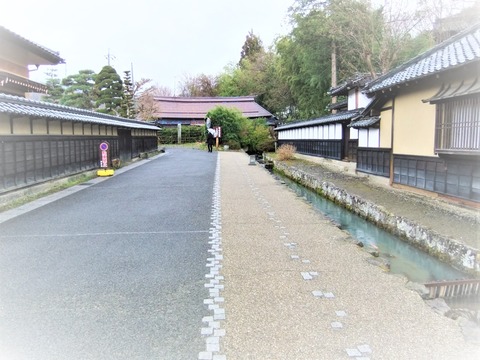 ¾¾Âå¤ÎÎò»ËŪƻ¤¹¤¸