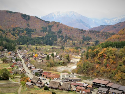 ������λ��ȹ��դ����