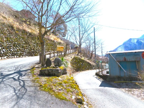 ⓪ÆàÎÉÅĤμ·ÃÊ