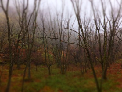 �����ڡ����ޤ��դ�ˬ��ϱ�