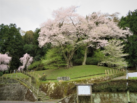 �����Ҽ�����Ω�ĵ��ɤΥ��ɥҥ����