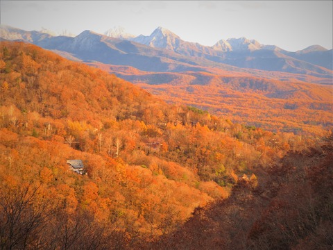 あかまつ６号線より　初冬の八ヶ岳と夕焼けに燃える紅葉