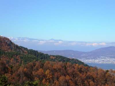 ƽ���㲰�����̥���ץ���