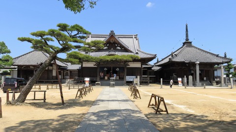 7¡¦Ä¹Èø»û¡¡º¸¤è¤ê¸îËàÆ²¡¦ËÜÆ²¡¦Âç»ÕƲ