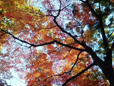 ¸«¾å¤²¤ë¤È