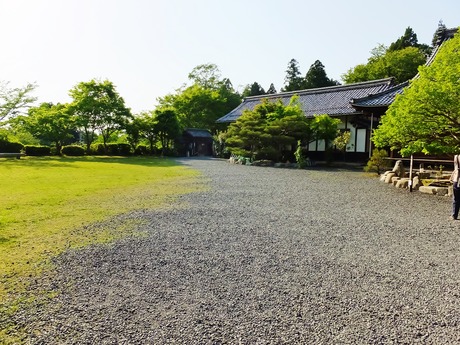 ��������˷���θ�Σ��΢��򸫤�