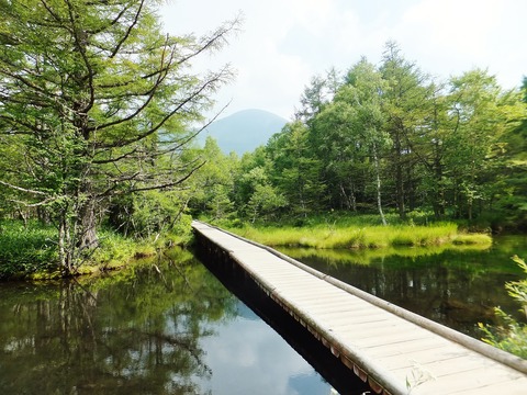 ¸æÀô¿å¼«Á³±à