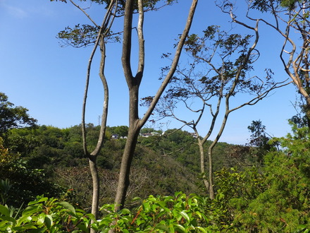 9Ԥؤƻȭë򶴤Ǹ򸫤