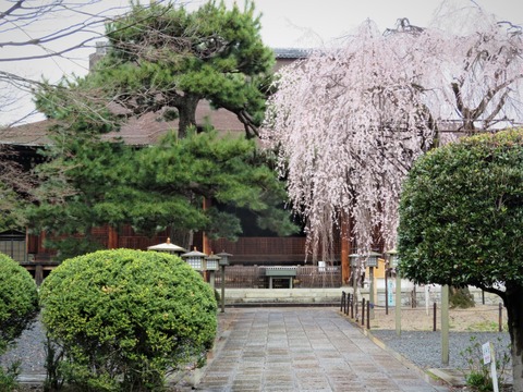 �������������ܼ��Ʋ����Ʋ