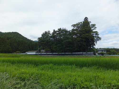 ��������羱���������Ȥβ�����