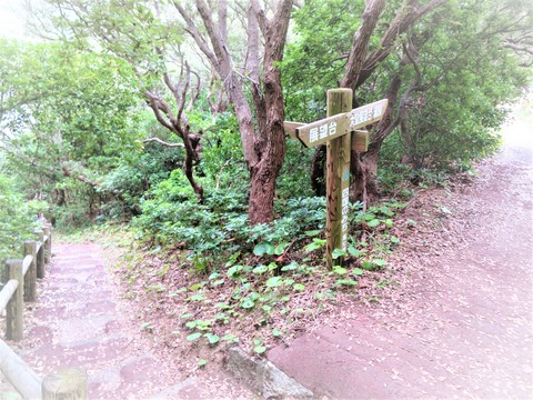 �Ѳ���򸫤�ʬ���� ��ƲŸ˾�������عԤ��Ȥ���