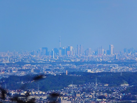 28�����ɤΥӥ뷲�θ������˥������ĥ꡼��������