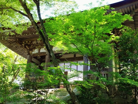 �������Ф���������ŷ��ʽ�ʸ��