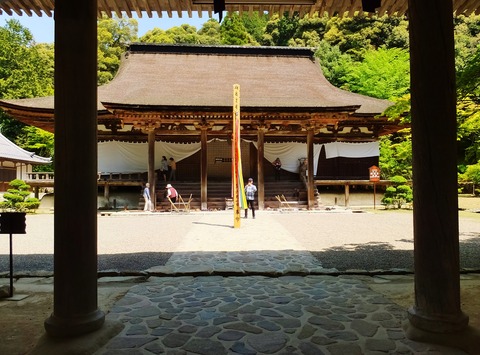 ������������Ʋ