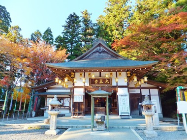 Âç¹ñƲ¤Ë¤â¹ÈÍÕ¤¬¤Á¤é¤Û¤é