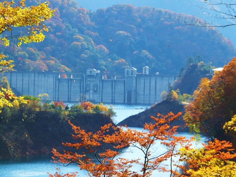 ���������ȹ���