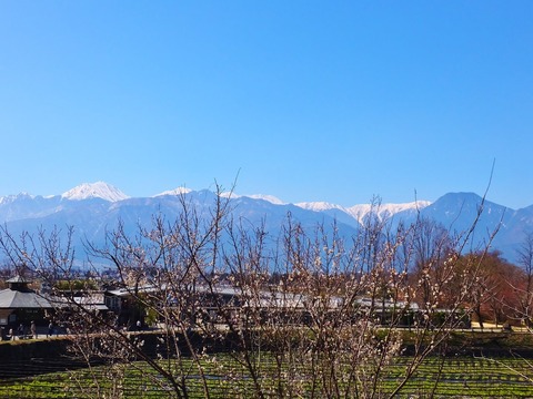 1����դξ�ǰ�٤�ͭ����