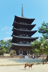 21����ʡ���θ޽���ȼ�