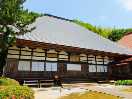 6��Ĺë������Ʋ