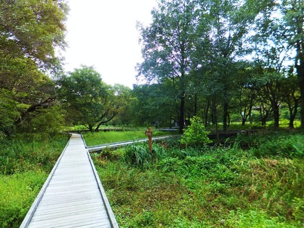 �����ѻ�����