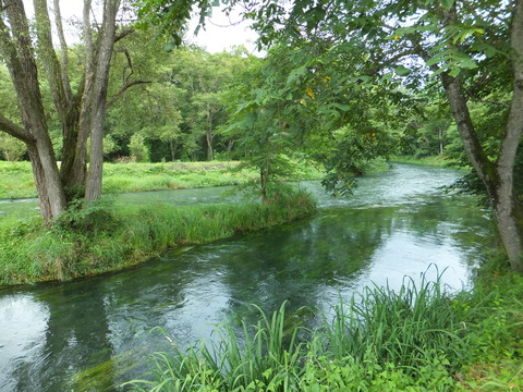 �粦�蘆�ӱࡦ����ˤ���������