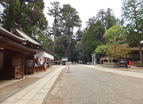 ��ī�ζ���