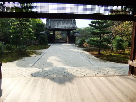 �縼�ؤ����������