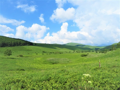 ¡ÃӤΤ¯¤ë¤ß¡¦Íپ켾¸¶