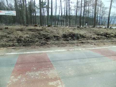 ƻϩ�˻Ĥ뻳�Ф��κ�