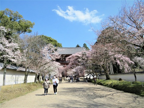 �������β���κ�