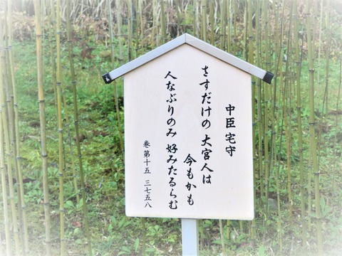 ¤Ê¤ê¤Ò¤éÃݤÎÎÓ¤ËÂð¼é¤Îû²Î