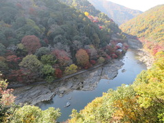 Íò»³¡¦À±Ìî¥ê¥¾¡¼¥È¤ò¸«²¼¤í¤¹