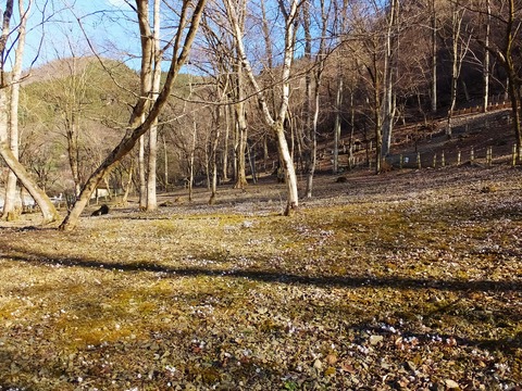 13����ʬ��η���