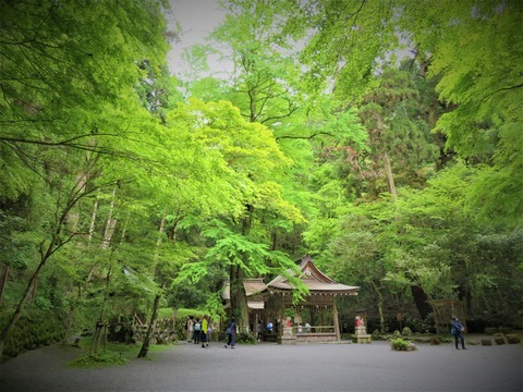 ¡µ®Á¥¿À¼Ò¡¦±üµÜ