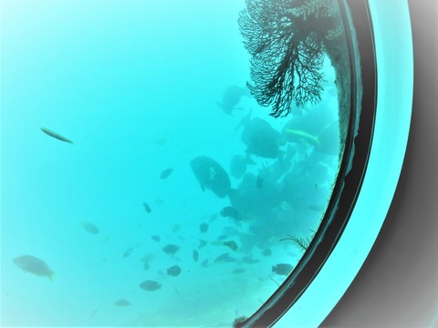 ��Ĭ�򼫺ߤ˱ˤ������� - ���ԡ�