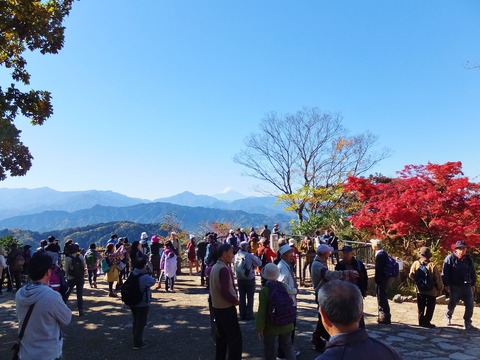 20���ٻλ��θ�����Ÿ˾���դ�Ϥ�������