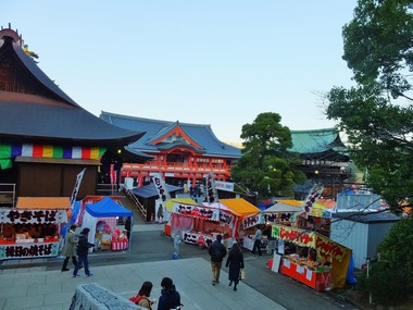 ���椬�ޤ��ФƤ��ޤ���