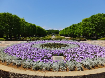 Ω������ʡ���