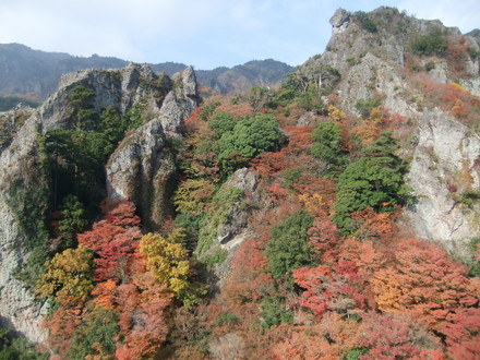 ֨Ω����仳�ι���