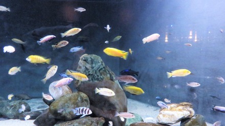 28���⸶�˱ˤ�Ǯ�ӵ�