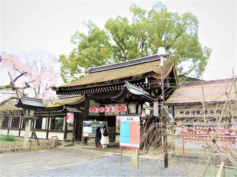 �����ο�����ߤ뤹�����