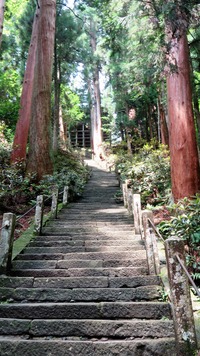 23���󤯤˷���¤��η�ʪ��